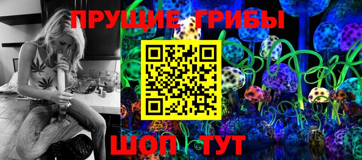 цены   Псилоцибиновые грибы мицелий  Вход с VPN  Протвино 