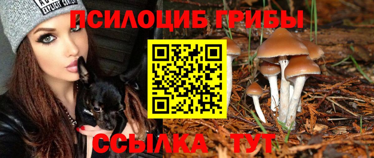 Псилоцибиновые грибы GOLDEN TEACHER Протвино